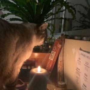 Meet your Posher, Monica